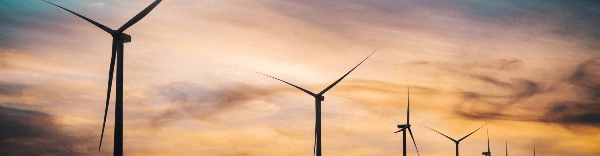 A sunset skyline with a silhouette of turbines in a row.